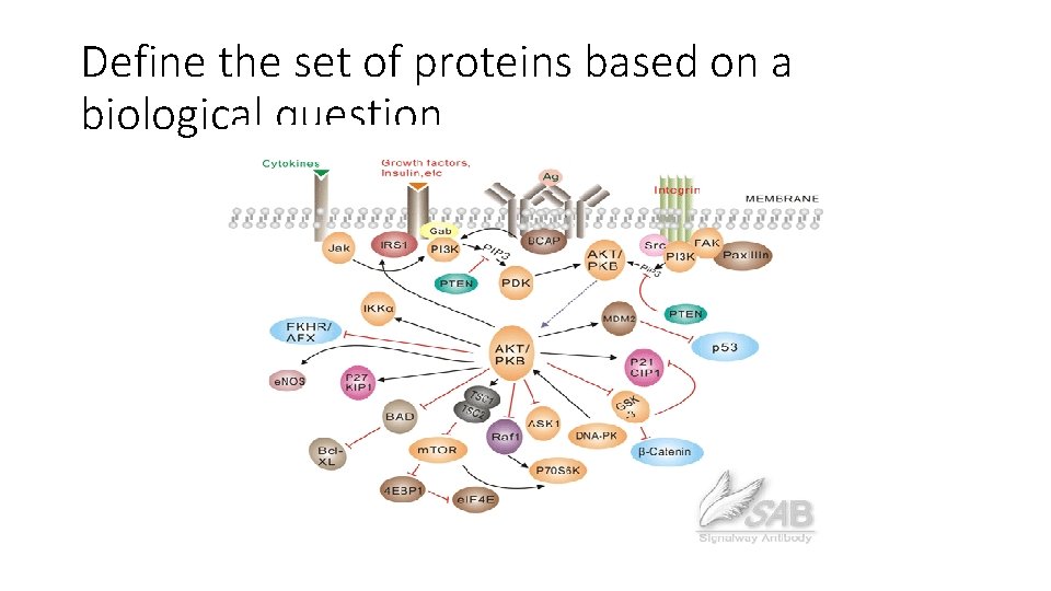 Define the set of proteins based on a biological question 