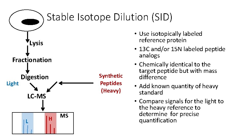 Stable Isotope Dilution (SID) Lysis Fractionation Light Synthetic Peptides (Heavy) Digestion LC-MS L H