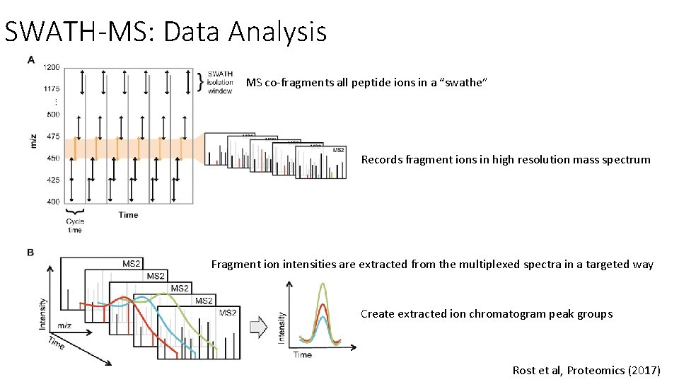 SWATH-MS: Data Analysis MS co-fragments all peptide ions in a “swathe” Records fragment ions