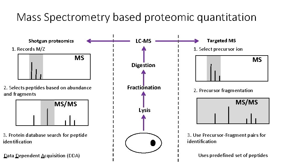 Mass Spectrometry based proteomic quantitation LC-MS Shotgun proteomics 1. Records M/Z Targeted MS 1.