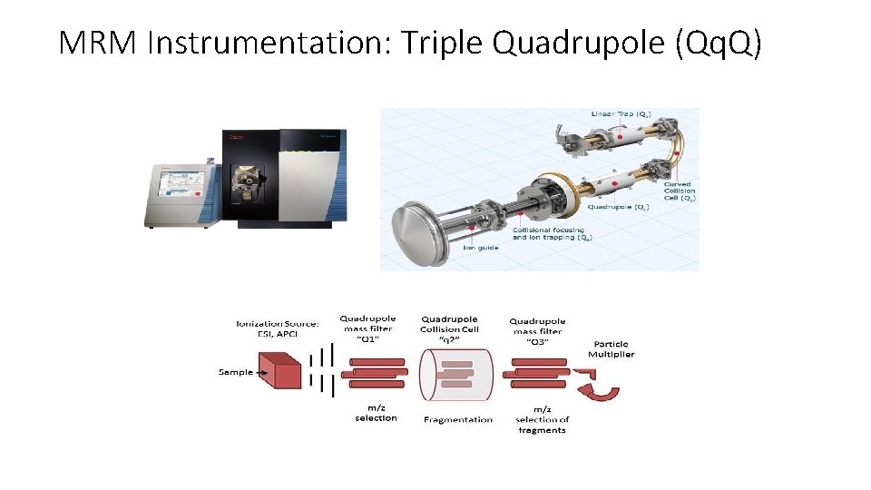 MRM Instrumentation: Triple Quadrupole (Qq. Q) 