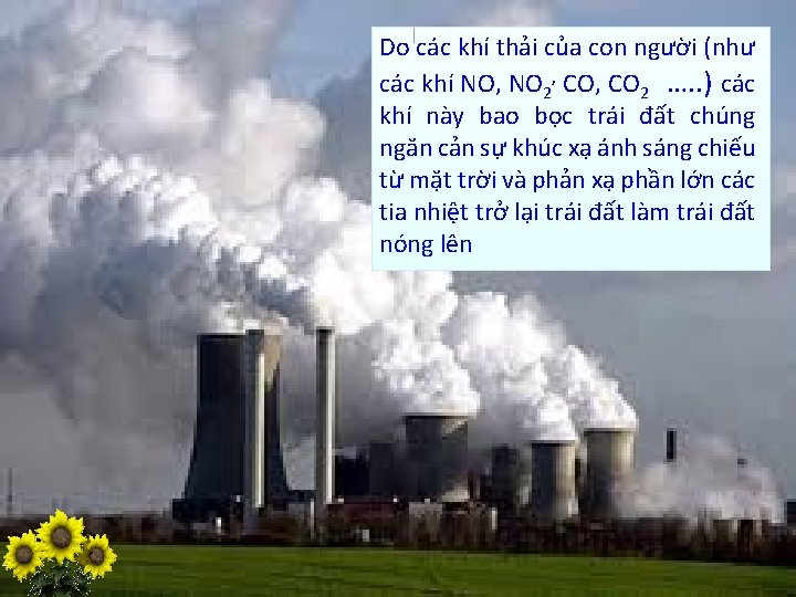 Do các khí thải của con người (như các khí NO, NO 2, CO