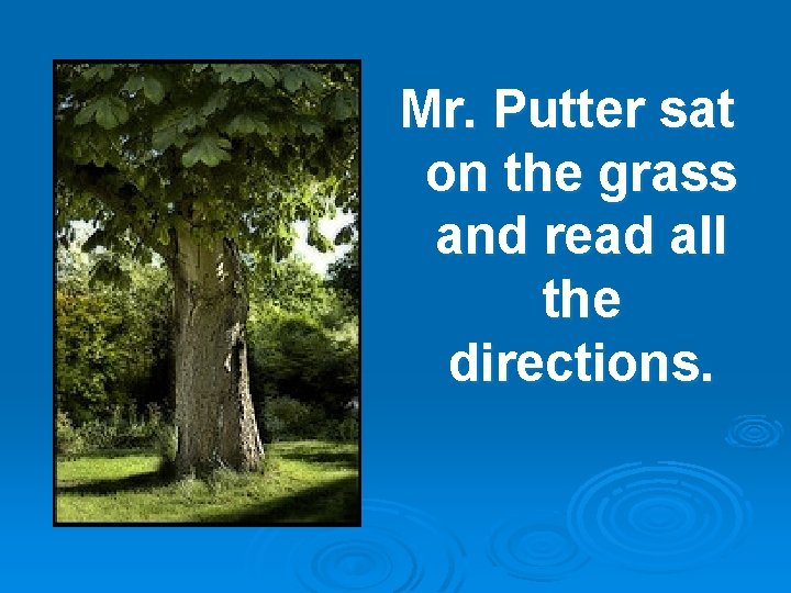 Mr. Putter sat on the grass and read all the directions. 