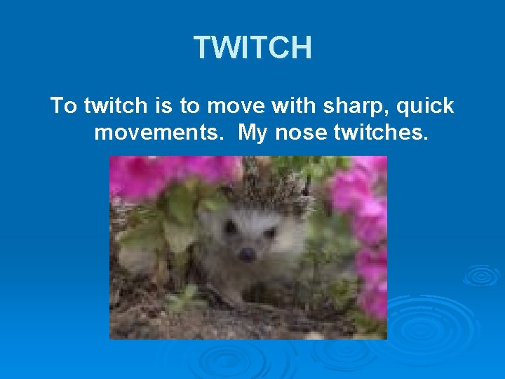 TWITCH To twitch is to move with sharp, quick movements. My nose twitches. 