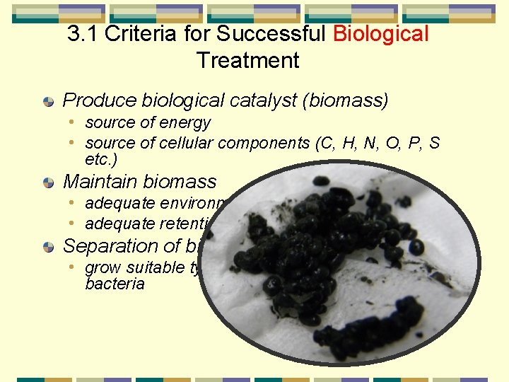 3. 1 Criteria for Successful Biological Treatment Produce biological catalyst (biomass) • source of