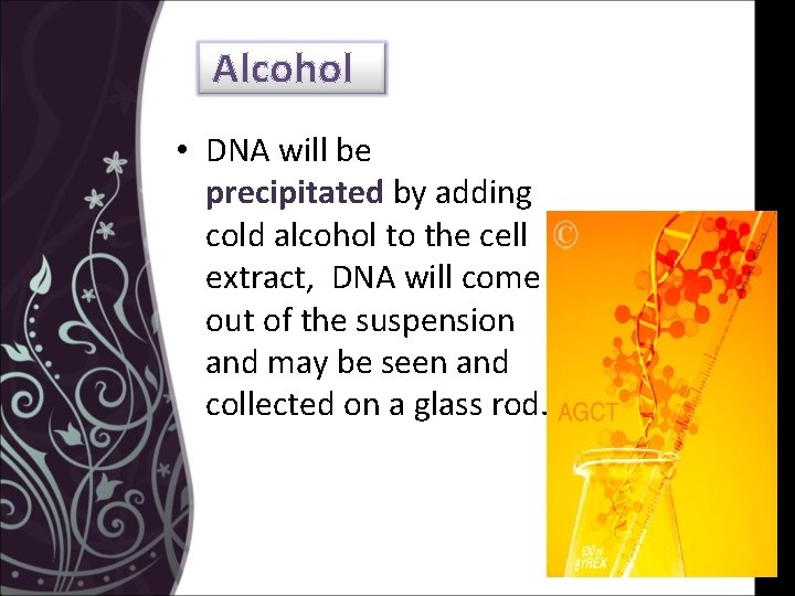 Practical Of Lab 6 DNA extraction from