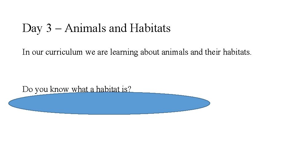 Day 3 – Animals and Habitats In our curriculum we are learning about animals