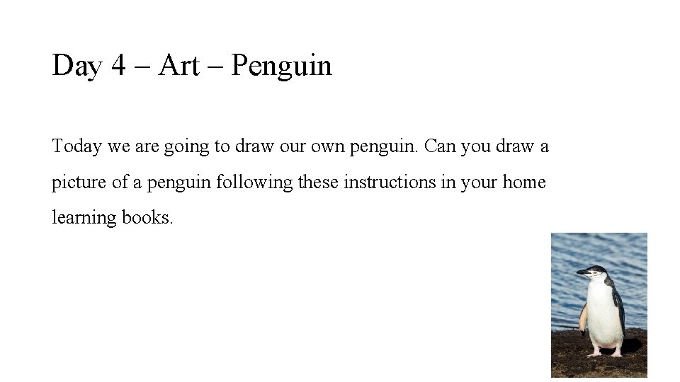 Day 4 – Art – Penguin Today we are going to draw our own