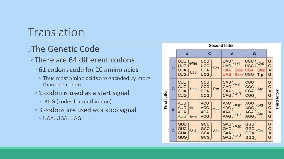 Translation o. The Genetic Code ◦ There are 64 different codons ◦ 61 codons