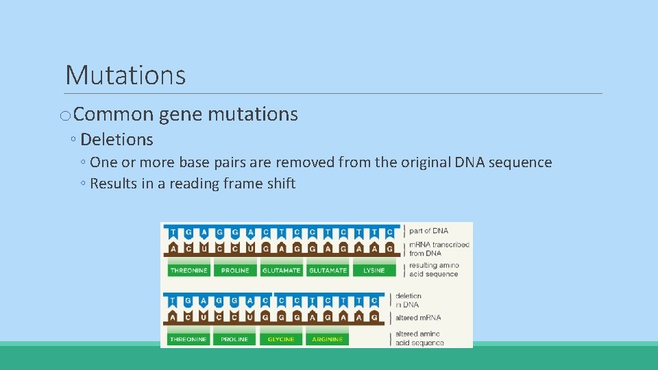 Mutations o. Common gene mutations ◦ Deletions ◦ One or more base pairs are