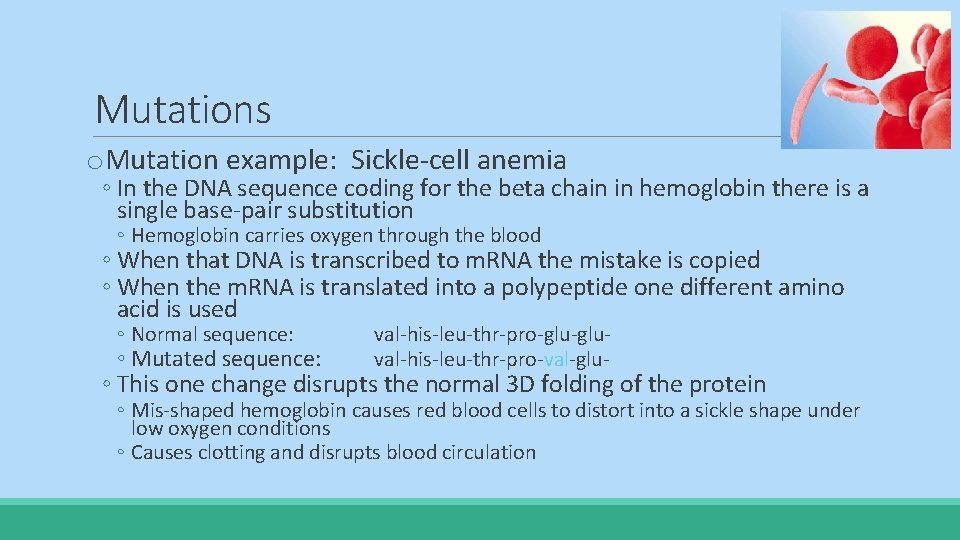 Mutations o. Mutation example: Sickle-cell anemia ◦ In the DNA sequence coding for the