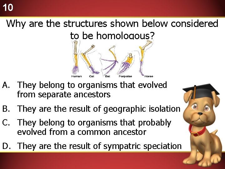 10 Why are the structures shown below considered to be homologous? A. They belong