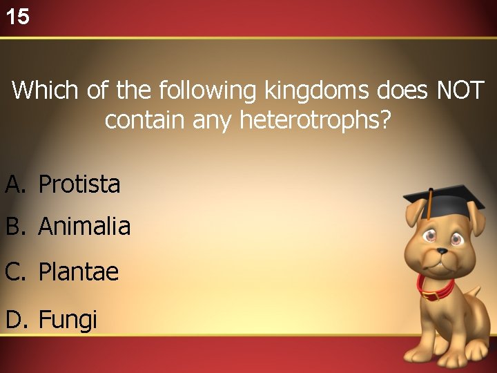 15 Which of the following kingdoms does NOT contain any heterotrophs? A. Protista B.