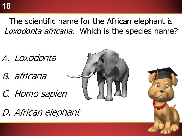 18 The scientific name for the African elephant is Loxodonta africana. Which is the