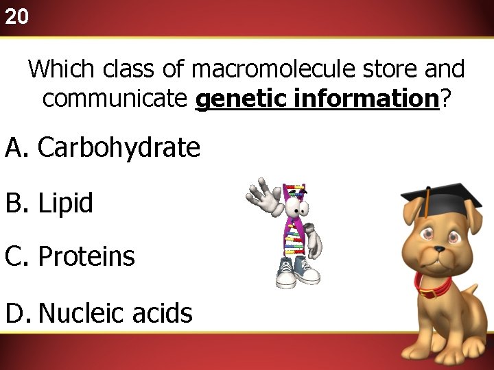 20 Which class of macromolecule store and communicate genetic information? A. Carbohydrate B. Lipid