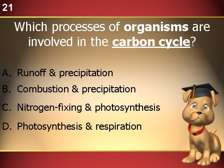 21 Which processes of organisms are involved in the carbon cycle? A. Runoff &