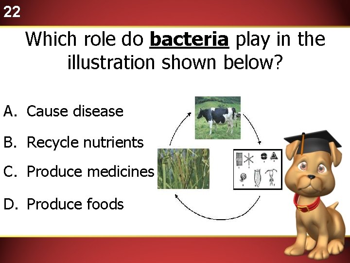 22 Which role do bacteria play in the illustration shown below? A. Cause disease