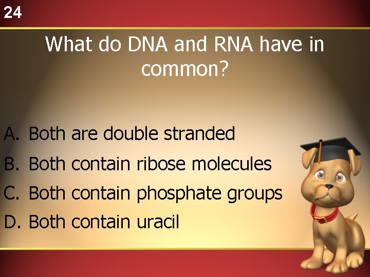 24 What do DNA and RNA have in common? A. Both are double stranded