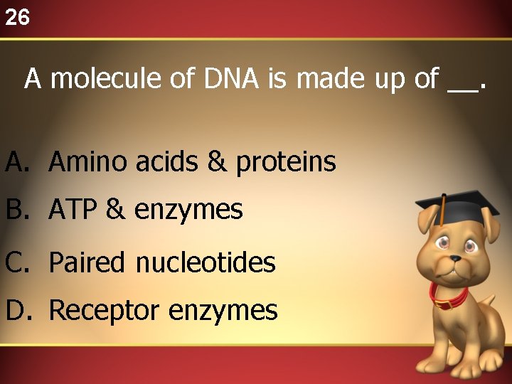 26 A molecule of DNA is made up of __. A. Amino acids &