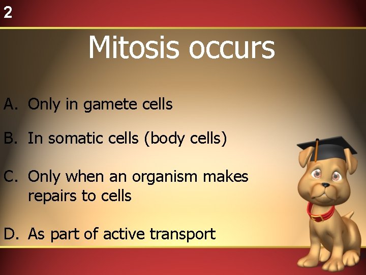2 Mitosis occurs A. Only in gamete cells B. In somatic cells (body cells)