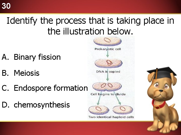 30 Identify the process that is taking place in the illustration below. A. Binary