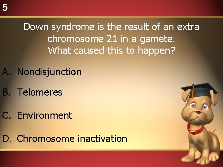 5 Down syndrome is the result of an extra chromosome 21 in a gamete.