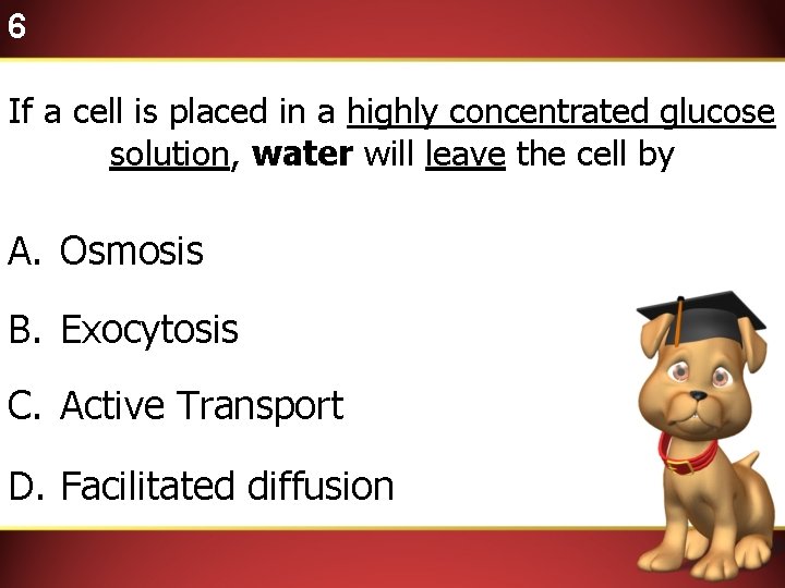 6 If a cell is placed in a highly concentrated glucose solution, water will