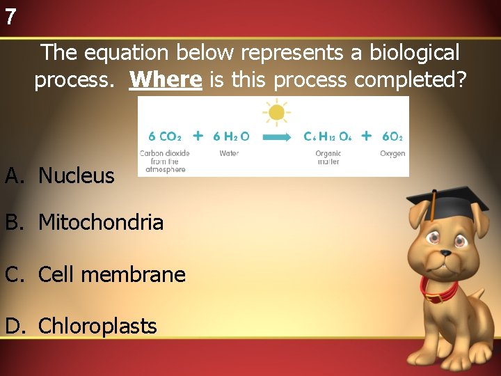 7 The equation below represents a biological process. Where is this process completed? A.