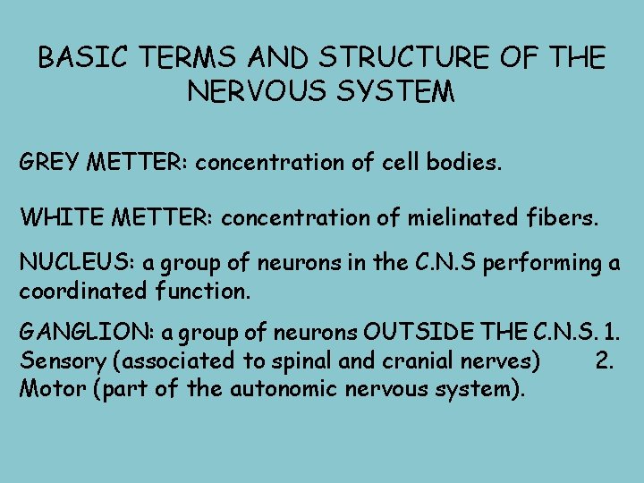 BASIC TERMS AND STRUCTURE OF THE NERVOUS SYSTEM GREY METTER: concentration of cell bodies.