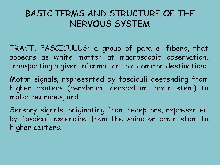 BASIC TERMS AND STRUCTURE OF THE NERVOUS SYSTEM TRACT, FASCICULUS: a group of parallel