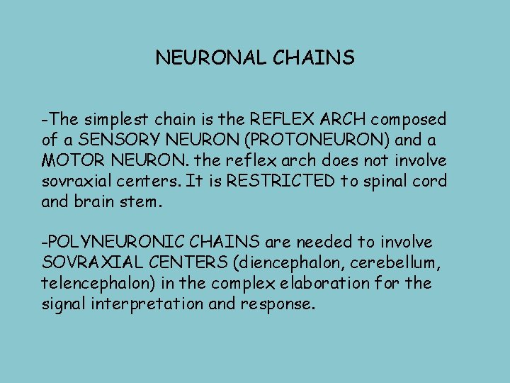NEURONAL CHAINS -The simplest chain is the REFLEX ARCH composed of a SENSORY NEURON