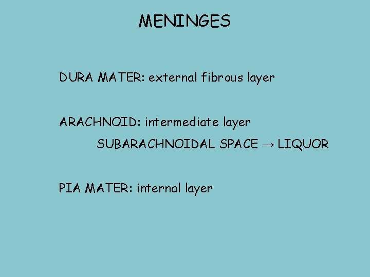 MENINGES DURA MATER: external fibrous layer ARACHNOID: intermediate layer SUBARACHNOIDAL SPACE → LIQUOR PIA