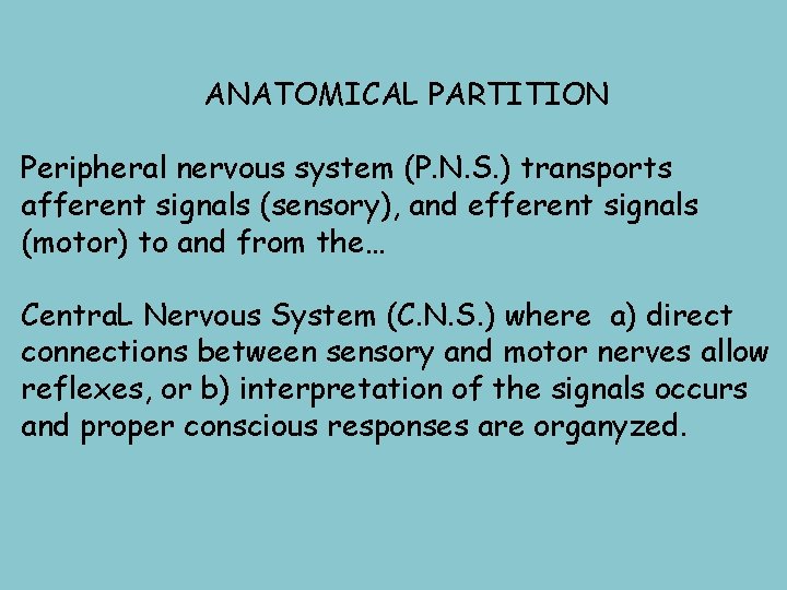 ANATOMICAL PARTITION Peripheral nervous system (P. N. S. ) transports afferent signals (sensory), and