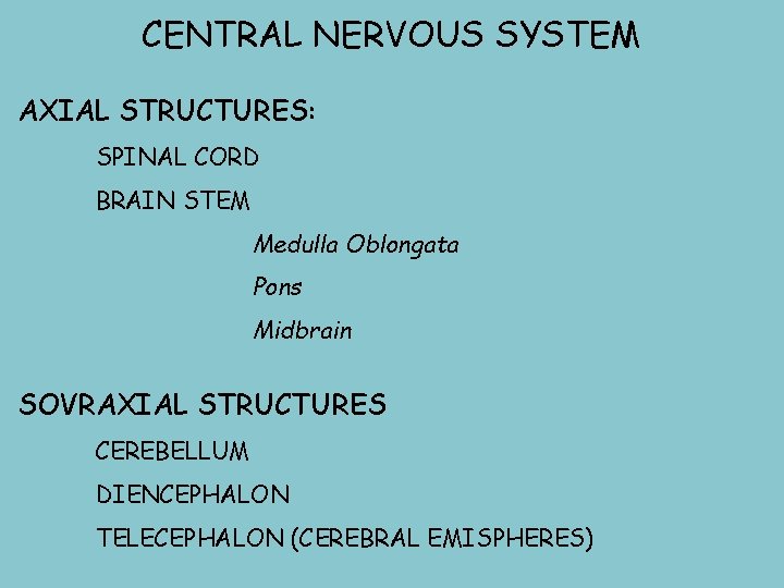 CENTRAL NERVOUS SYSTEM AXIAL STRUCTURES: SPINAL CORD BRAIN STEM Medulla Oblongata Pons Midbrain SOVRAXIAL