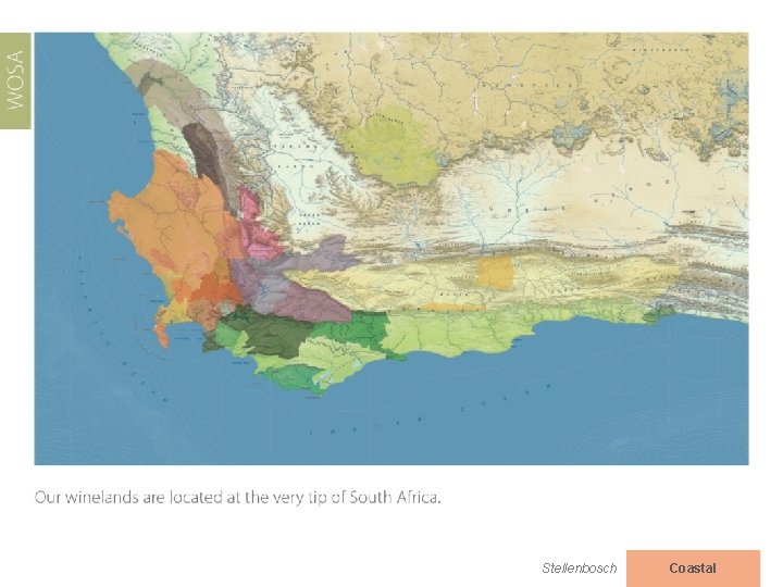 Stellenbosch Coastal 