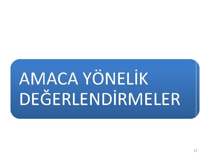 AMACA YÖNELİK DEĞERLENDİRMELER 17 