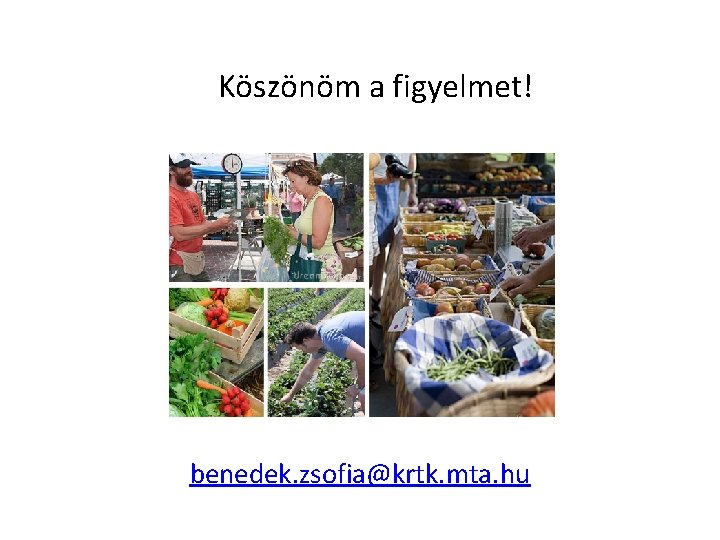 Köszönöm a figyelmet! benedek. zsofia@krtk. mta. hu 