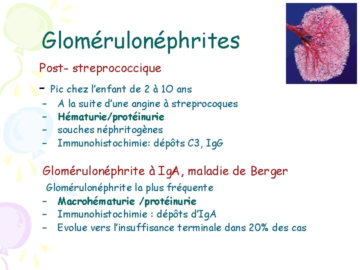 Glomérulonéphrites Post- streprococcique - – – Pic chez l’enfant de 2 à 1 O