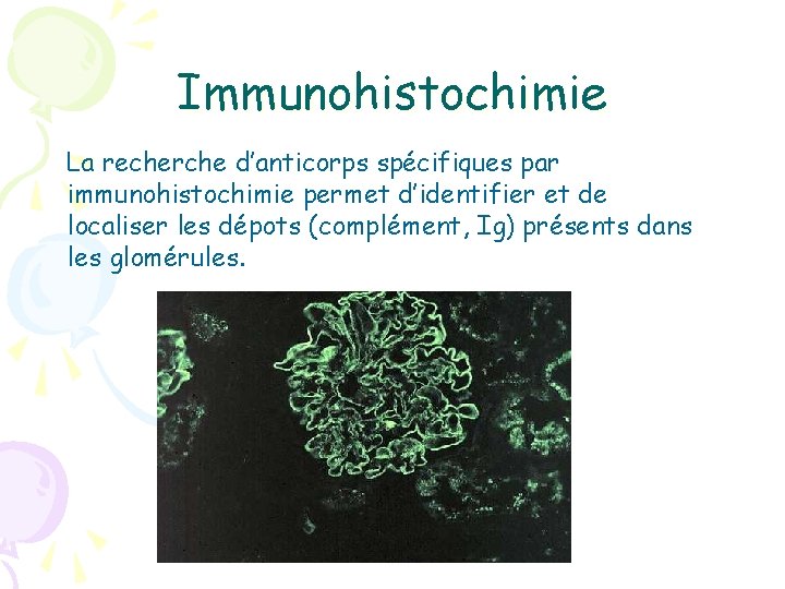 Immunohistochimie La recherche d’anticorps spécifiques par immunohistochimie permet d’identifier et de localiser les dépots