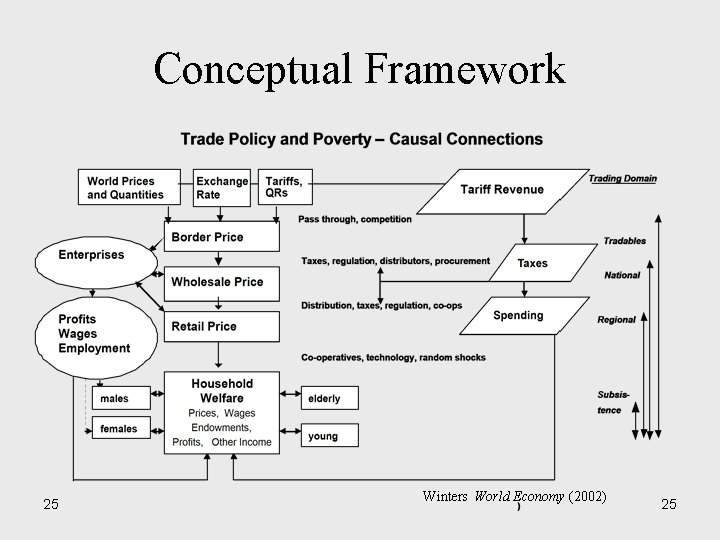 Conceptual Framework 25 Winters World Economy (2002) 25 