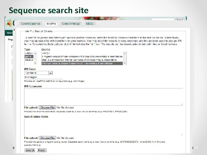 Sequence search site 10 
