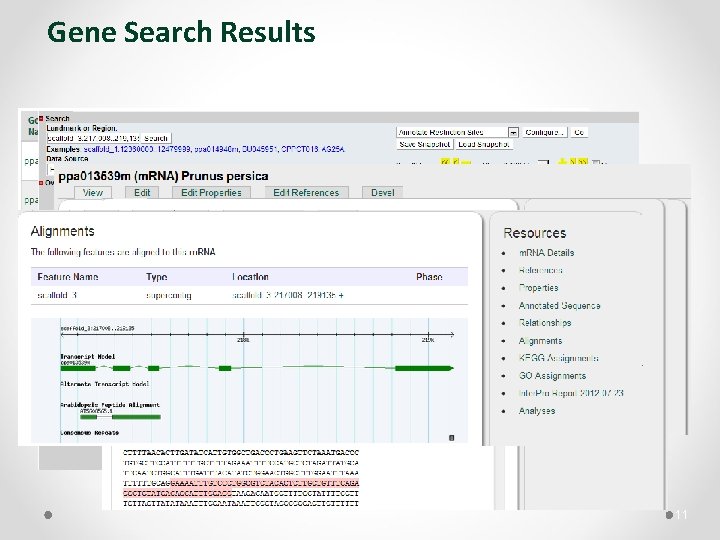 Gene Search Results 11 