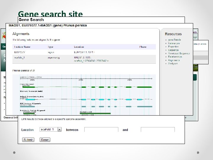Gene search site 