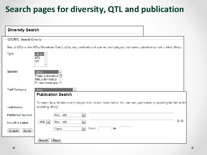Search pages for diversity, QTL and publication 