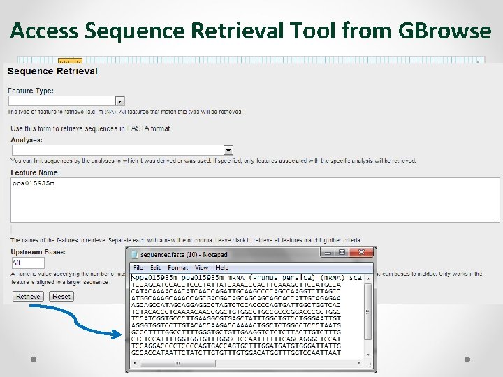Access Sequence Retrieval Tool from GBrowse 
