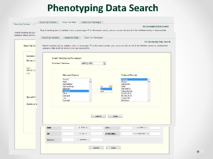 Phenotyping Data Search 19 
