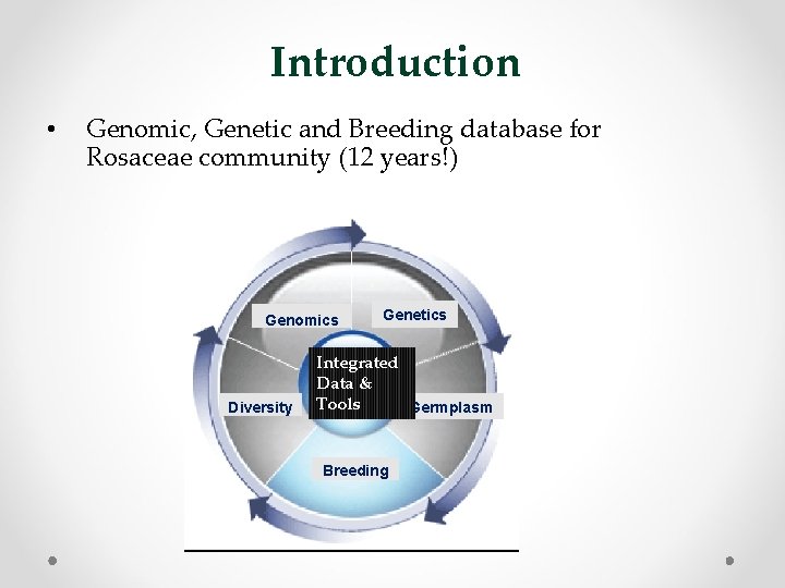 Introduction • Genomic, Genetic and Breeding database for Rosaceae community (12 years!) Genomics Diversity