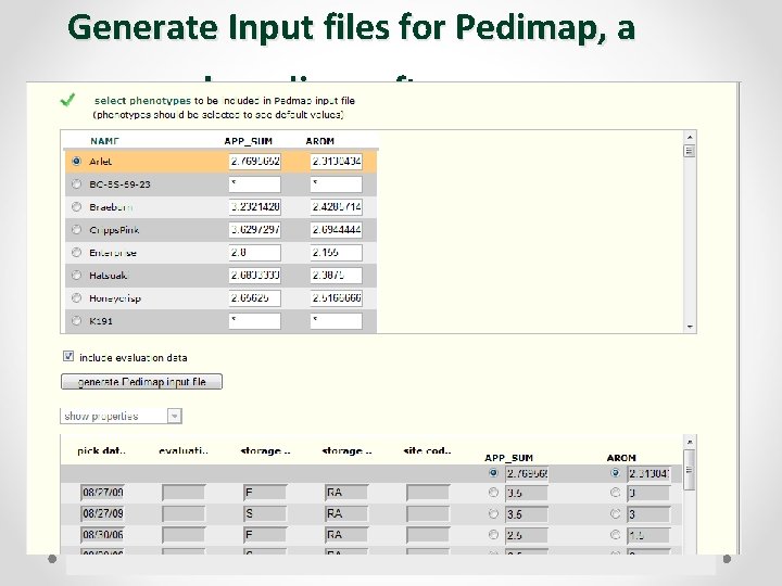 Generate Input files for Pedimap, a breeding software 
