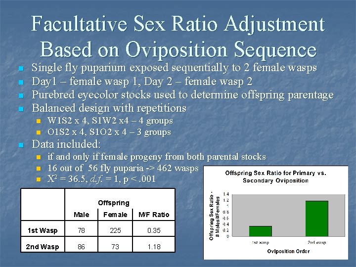Facultative Sex Ratio Adjustment Based on Oviposition Sequence n n Single fly puparium exposed Facultative Sex Ratio Adjustment Based on Oviposition Sequence n n Single fly puparium exposed
