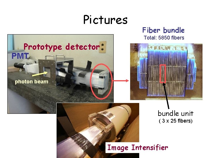 Pictures Prototype detector PMT Fiber bundle Total: 5850 fibers photon beam bundle unit (